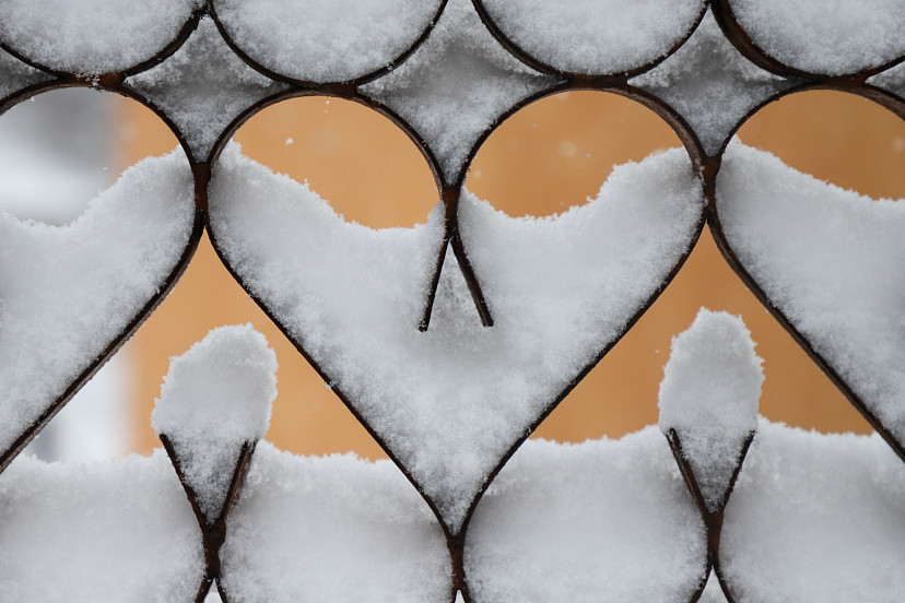 Снег накроет Центральную Россию в середине ноября | ТСН24