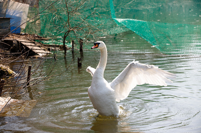 Прогулки стали длиннее: как жители тульского зооуголка готовятся к лету