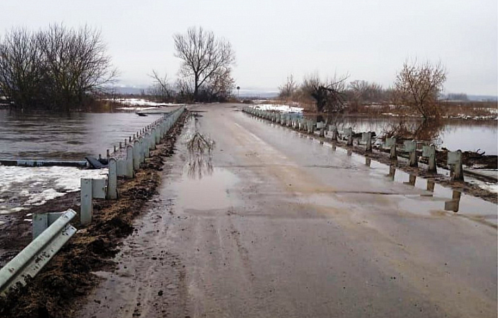 Мост в районе тульской деревни Берники может уйти под воду из-за половодья