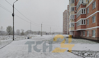 Тулу накрыла вторая волна снегопада