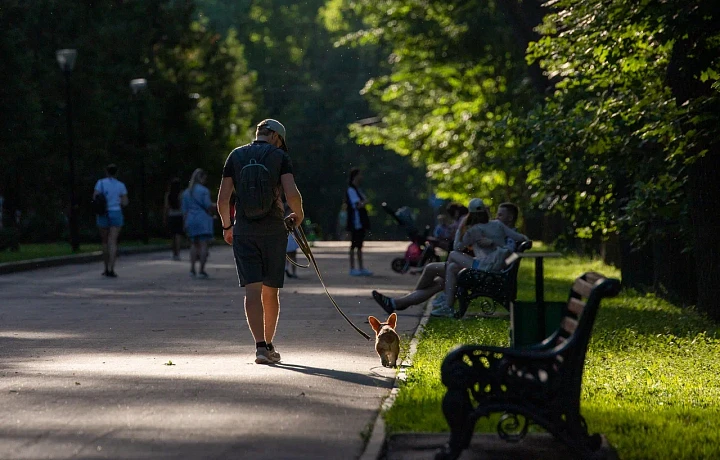 В Тульской области увеличат число площадок для выгула собак