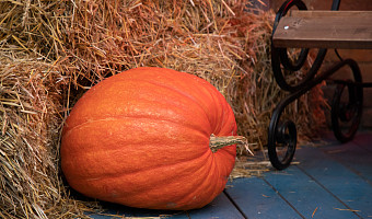 В России предложили отмечать праздник урожая вместо Хэллоуина