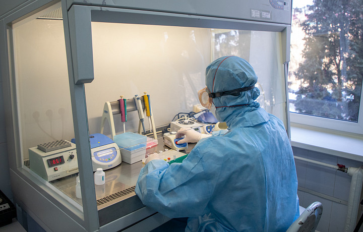 Новый штамм коронавируса «арктур» массово охватит Россию осенью 2023 года