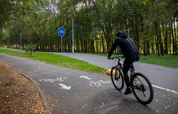 С начала года в Тульской области увеличилось количество происшествий и травмированных в авариях детей-велосипедистов