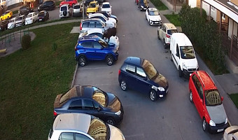 В Туле лось Жорик повредил машины на парковке: эксперт объяснил, почему животное обосновалось в городе