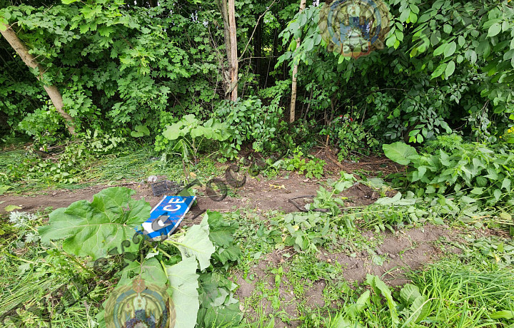 В Щекинском районе водитель без прав съехал в кювет и врезался в дерево