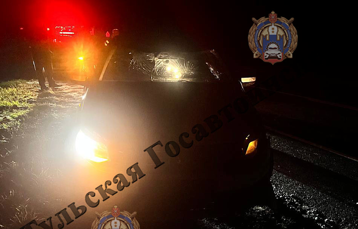 В Веневском районе водитель Volkswagen Polo сбил лося