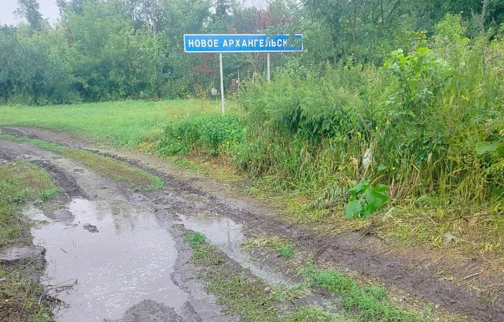 «Был случай, когда инвалида до кареты скорой помощи тащили соседи на корыте»: под Плавском единственную дорогу к деревне чиновники назвали «произвольно накатанной» и отказали в ремонте