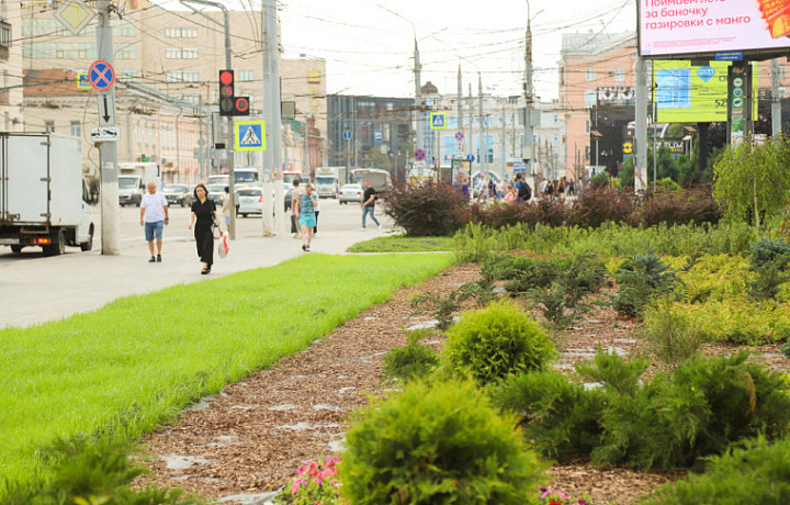 Две новые зеленые зоны появились в центре Тулы