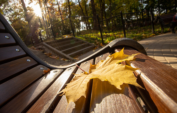 Синоптик Ильин рассказал, какая погода ждет туляков в первые выходные сентября