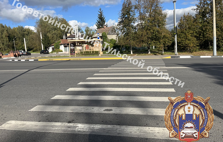 Пенсионер на Ford сбил женщину на пешеходном переходе на Хомяковском шоссе Тулы