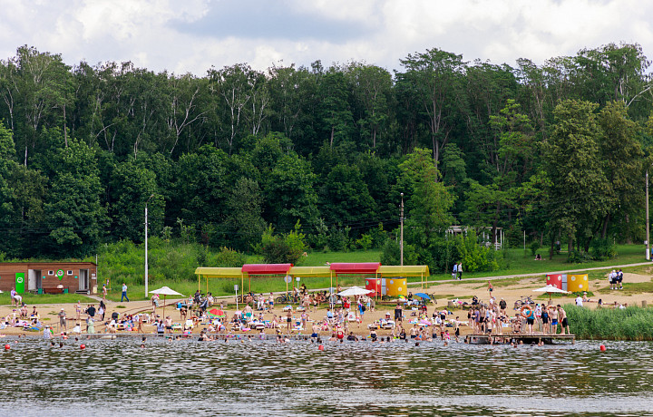Стало известно, как благоустроят пляж в Центральном парке Тулы к купальному сезону