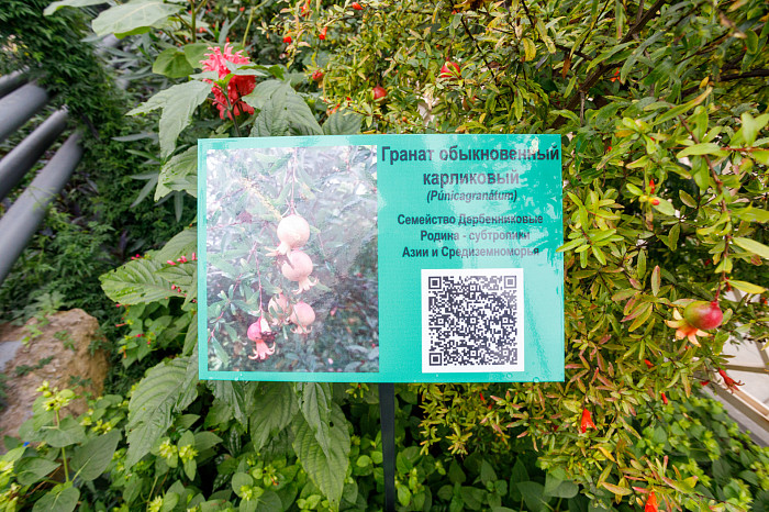 В тульской школе привели в порядок уникальную оранжерею с более чем 200 видами растений