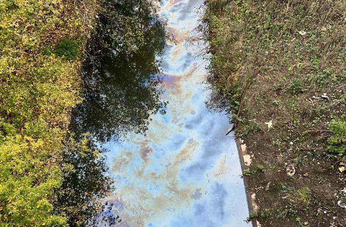 На реке Воронка в Туле заметили маслянистые пятна с запахом растворителя