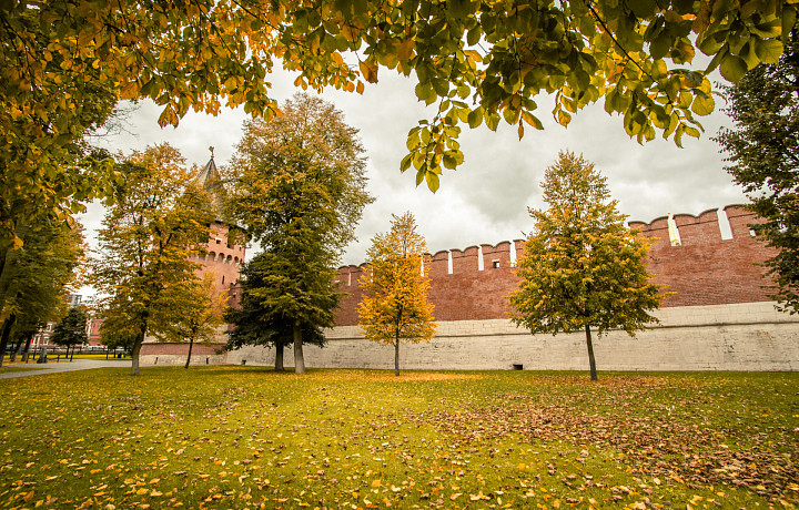 Ремонт Тульского кремля и прививки от краснухи: какие изменения ждут жителей региона в октябре 2025 года