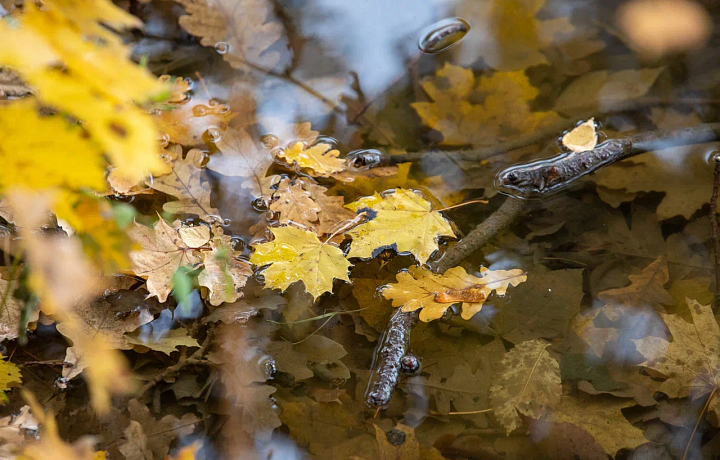 В Туле 10 ноября похолодает до +6 градусов