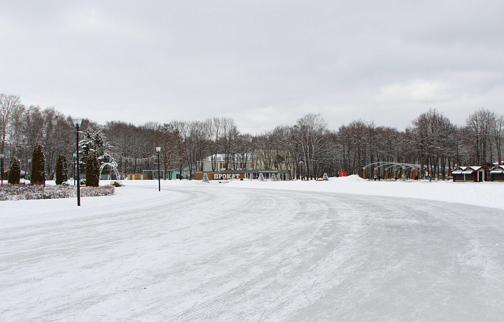 В Центральном парке Тулы перекрыли часть катка на Рябиновой аллее