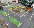 Музею «Куликово поле» передан археологический клад, найденный неподалеку от Тулы черным копателем