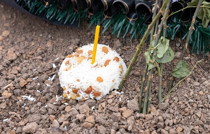 За полгода численность заселения Тульской области сократилась на 6 644 человека