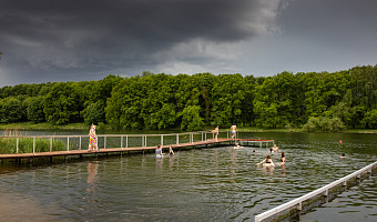 МЧС предупреждает о грозе и сильном ветре в Тульской области