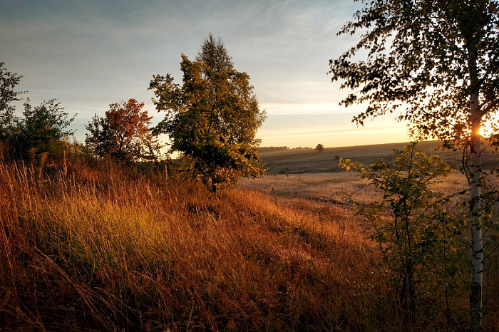 В Тульской области местный житель зафиксировал красивый рассвет