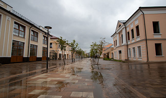 24 сентября в Туле и области вновь будет пасмурно и прохладно