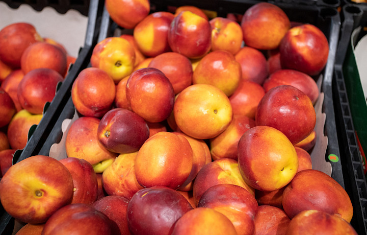 В 20 тоннах узбекских нектаринов Россельхознадзор обнаружил плодожорку