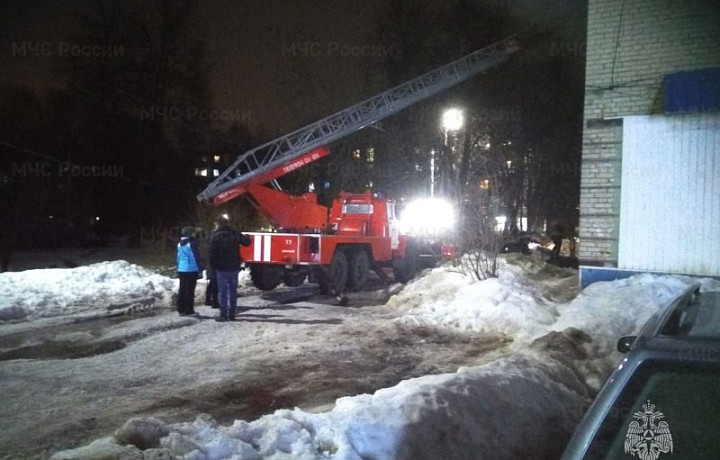 В Донском Тульской области произошел пожар