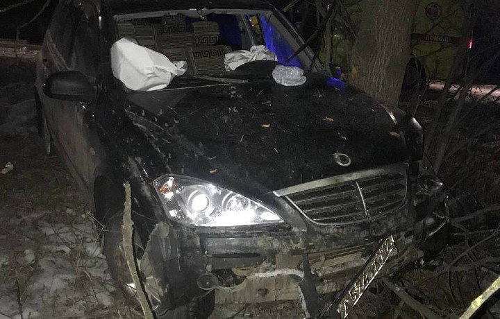 В Туле водитель SsangYong улетел в кювет и врезался в дерево