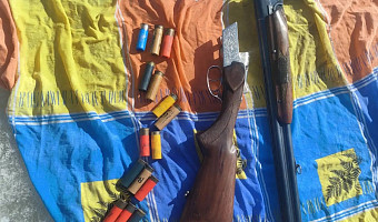 Оружие и боеприпасы изъяли из незаконного оборота в Ефремове