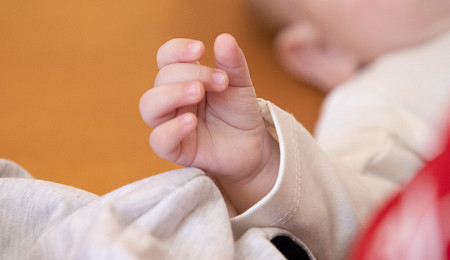 Новорожденный весом 440 граммов и медведица на территории школы: дайджест главных, значимых и резонансных региональных событий