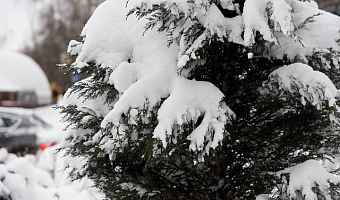 В Туле 4 февраля ожидается пасмурная погода и до -22 градусов