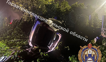 Водитель «Рено» погиб, слетев в кювет в тульской деревне Крюково