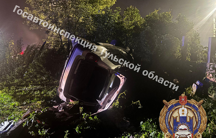Водитель «Рено» погиб, слетев в кювет в тульской деревне Крюково