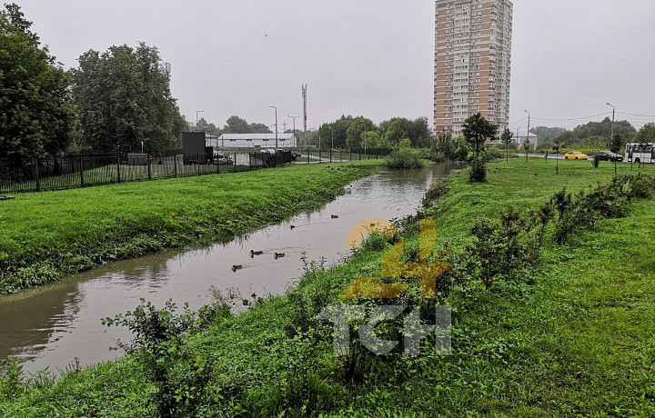 В тульской Рогожне резко повысился уровень воды после проливных дождей