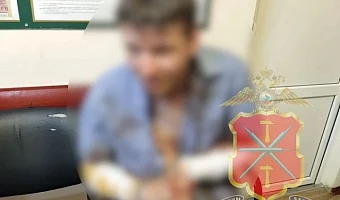 Подозреваемого в двойном убийстве в Щекине проверят на вменяемость
