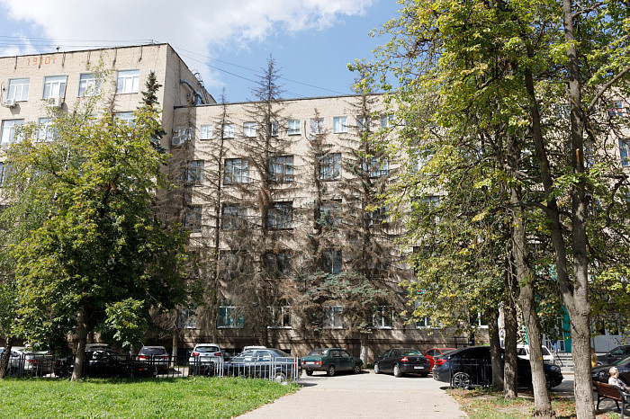 Ели засохли в сквере у ТЦ на улице Болдина в Туле