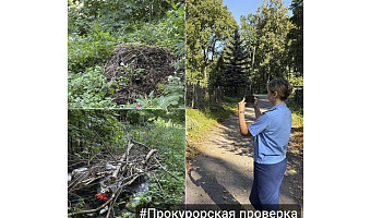 Прокуратура потребовала навести порядок на Всехсвятском кладбище в Туле