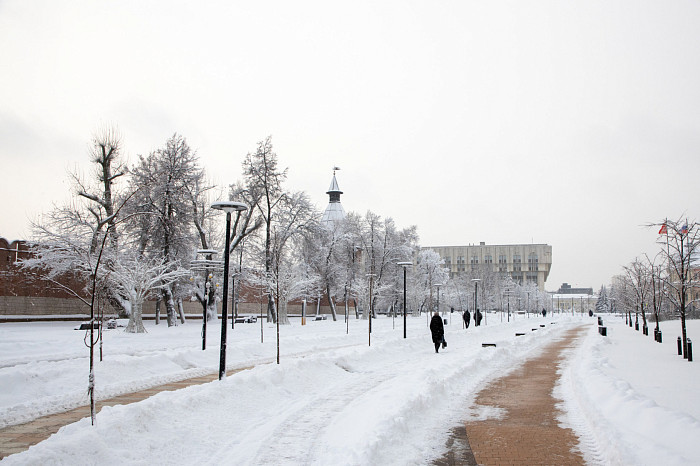 Тулу засыпало снегом: как в городе борются с последствиями стихии