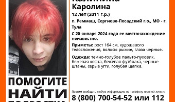 В Туле и в Московской области разыскивают девочку-подростка