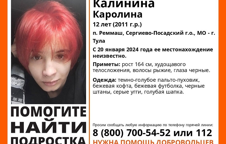В Туле и в Московской области разыскивают девочку-подростка