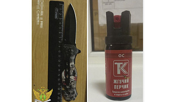 Жители Тульской области пытались пронести в суд нож и перцовый баллончик