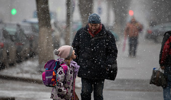 Тулякам рассказали, при каких погодных условиях могут отменить занятия в школах