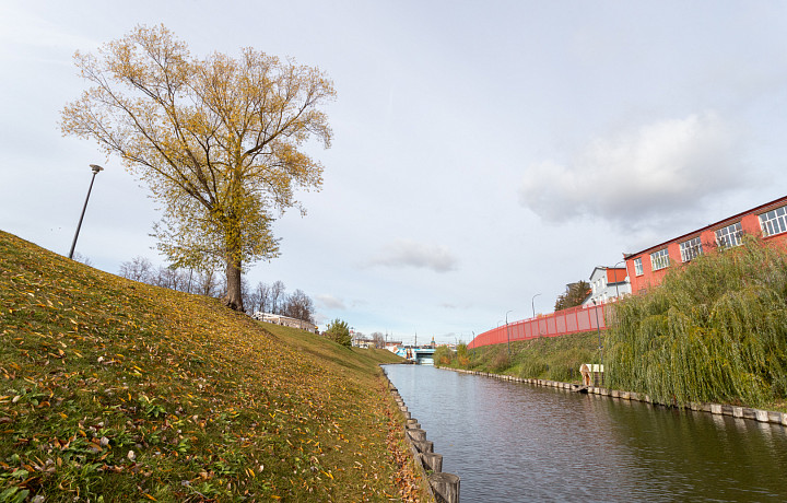 Синоптики спрогнозировали дождь и пасмурную погоду в Туле и области 23 сентября