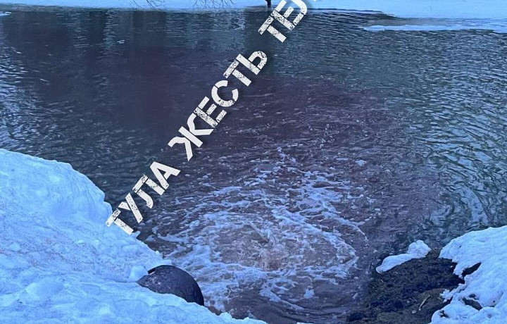 Водоем в Баташевском парке в Туле окрасился в красный цвет