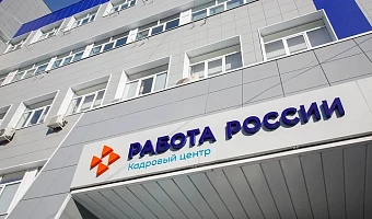 Безработица в регионе увеличилась на 8%, но официально незанятых меньше 900 человек: сколько им платят и долго ли можно стоять на бирже?