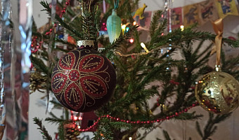 Эколог назвала способы правильной утилизации новогодних ёлок