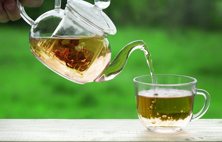 Эндокринолог Атаманова заявила, что чайный гриб опасен для здоровья