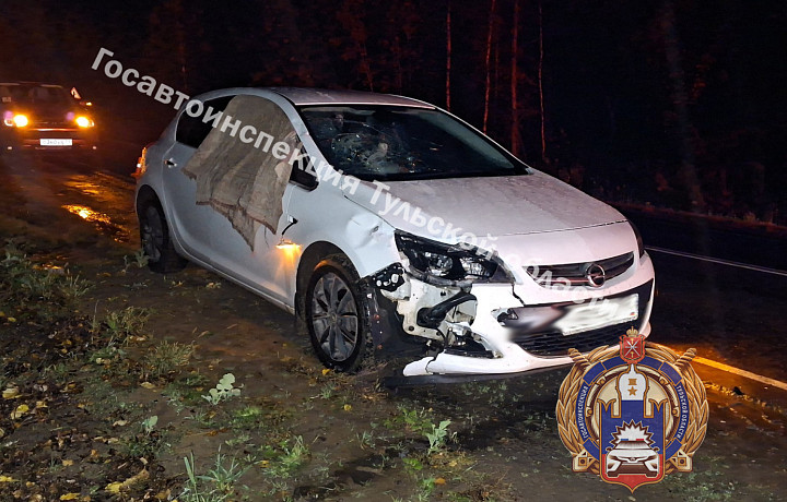 ﻿Пешеход попал под колеса Opel и погиб на трассе в Щекинском районе