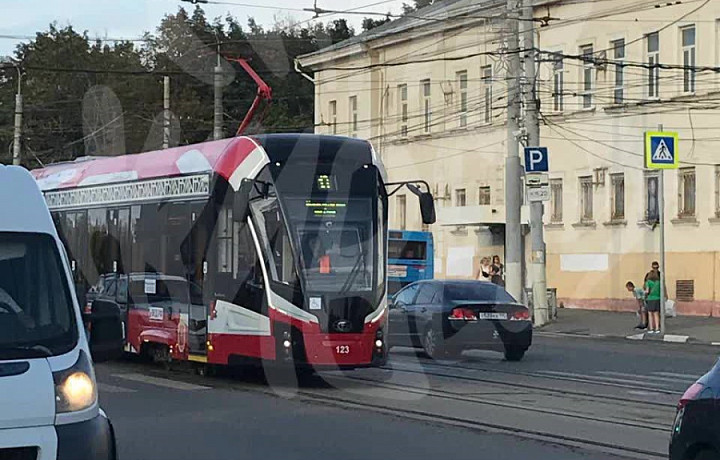 Трамваи «Львята» появились на маршруте №13 в Туле